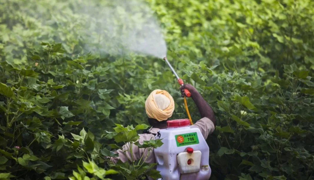 Fertilizantes