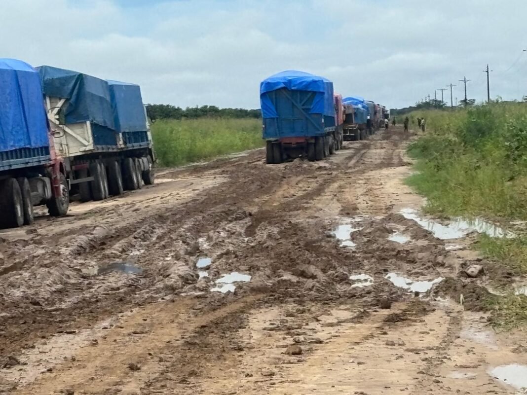 Sequía y lluvias intensas afectan 300.000 hectáreas de cultivos agrícolas