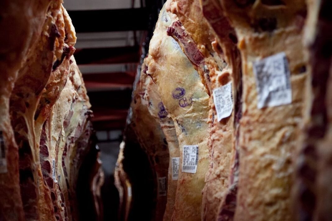 *Peso de faena sube en bovinos jóvenes y baja en mayores en Santa Cruz* El peso promedio de las carcasas de ganado bovino macho muestra comportamientos diferenciados en Santa Cruz entre septiembre de 2025 y febrero de 2026. Mientras los animales menores o iguales a 36 meses registran una tendencia al alza, los mayores a esa edad evidencian una caída con leve recuperación al inicio de 2026, según datos oficiales de la Federación de Ganaderos de Santa Cruz (Fegasacruz). De acuerdo con el reporte, el peso promedio de los machos menores de 36 meses pasó de 264 kg en septiembre de 2025 a 273 kg en febrero de 2026. El incremento, aunque moderado, refleja una mejora sostenida en la productividad de animales jóvenes, con un repunte más marcado desde diciembre (271 kg) y enero (274 kg). En contraste, los machos mayores a 36 meses iniciaron el periodo con 335 kg en septiembre, pero descendieron progresivamente hasta 292 kg en diciembre, el nivel más bajo del ciclo analizado. Posteriormente, se observó una recuperación parcial en enero (323 kg), aunque en febrero volvió a caer a 305 kg, sin alcanzar los niveles iniciales. La brecha entre ambas categorías también se redujo. En septiembre, la diferencia era de 71 kg, mientras que en febrero se acortó a 32 kg, lo que sugiere una convergencia en los pesos de faena. El informe además da cuenta de variaciones en el volumen de animales procesados. En el caso de los machos menores de 36 meses, el pico de faena se registró en octubre (23.063 cabezas), seguido de una fuerte caída en diciembre (4.886), con recuperación en enero (12.083) y febrero (12.069). Para los mayores a 36 meses, el mayor volumen se observó en noviembre (2.060 cabezas), descendiendo de forma significativa en diciembre (325). Los resultados reflejan posibles ajustes en las estrategias de engorde, disponibilidad de alimento y condiciones climáticas que impactan en el rendimiento del ganado, especialmente en animales de mayor edad. El comportamiento al alza en bovinos jóvenes podría estar asociado a mejoras en manejo productivo, mientras que la volatilidad en los mayores sugiere desafíos en su terminación y salida a faena.