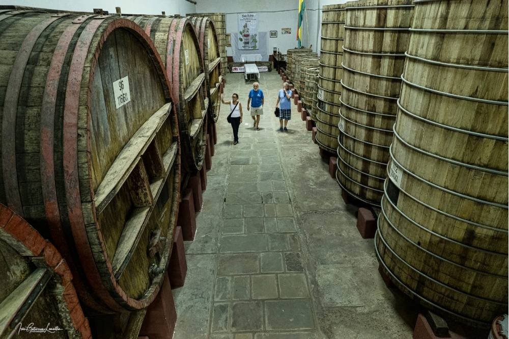 Exportaciones de singani crecen 18% en valor y 69% en volumen en 2025
