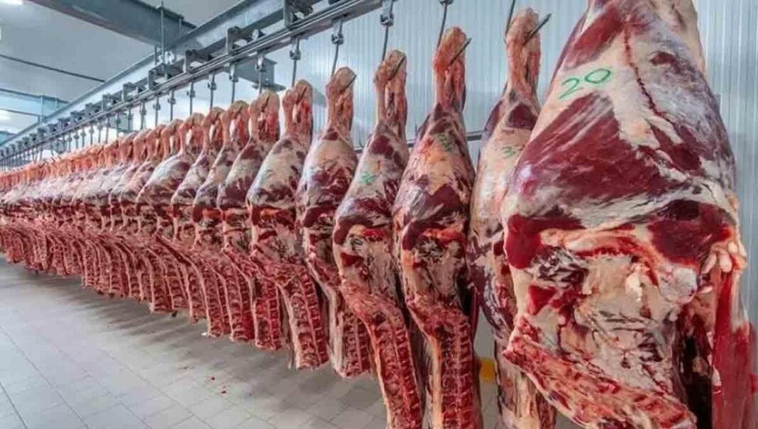 Bolivia logra habilitación para exportar carne a Paraguay