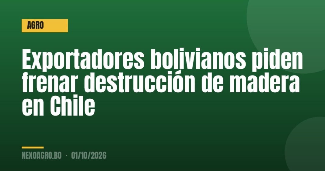 Exportadores bolivianos piden frenar destrucción de madera en Chile