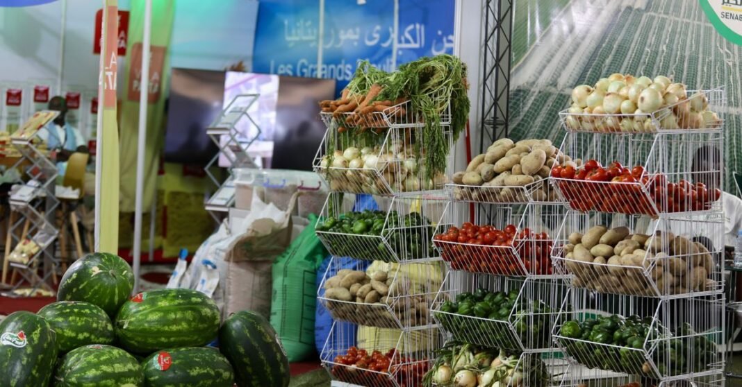 Vibrant market stall displaying watermelons, carrots, and more fresh produce.