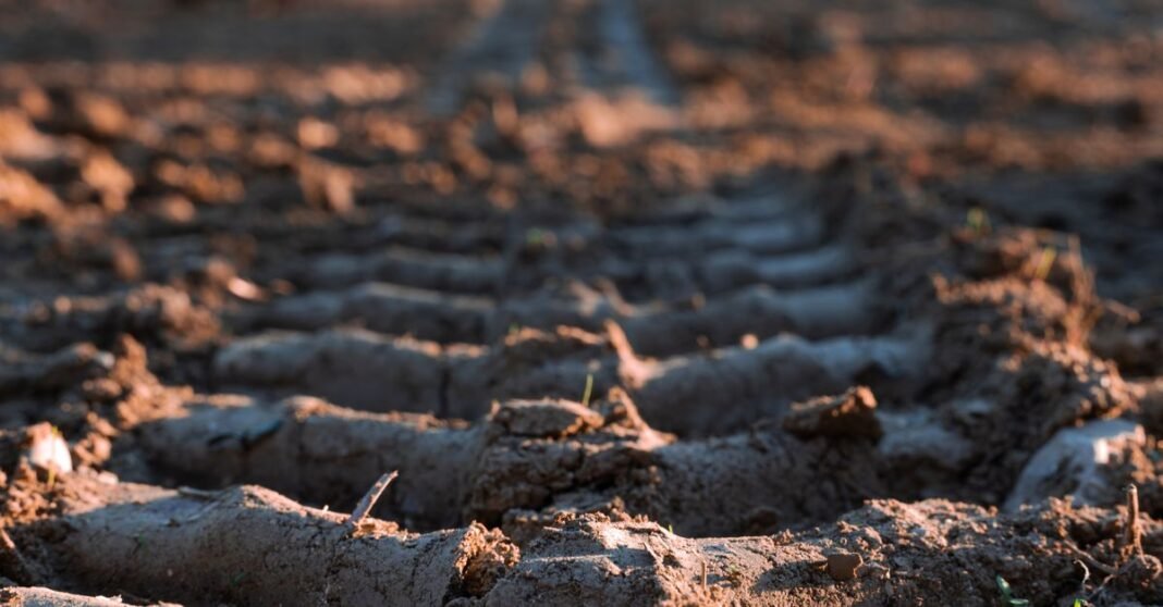 Close-up of textured soil, revealing freshly plowed earth with tractor imprints.